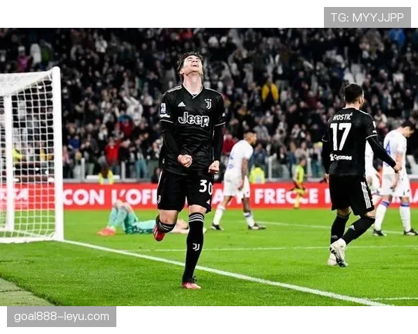 弗拉霍维奇单箭头战术适配困境解析